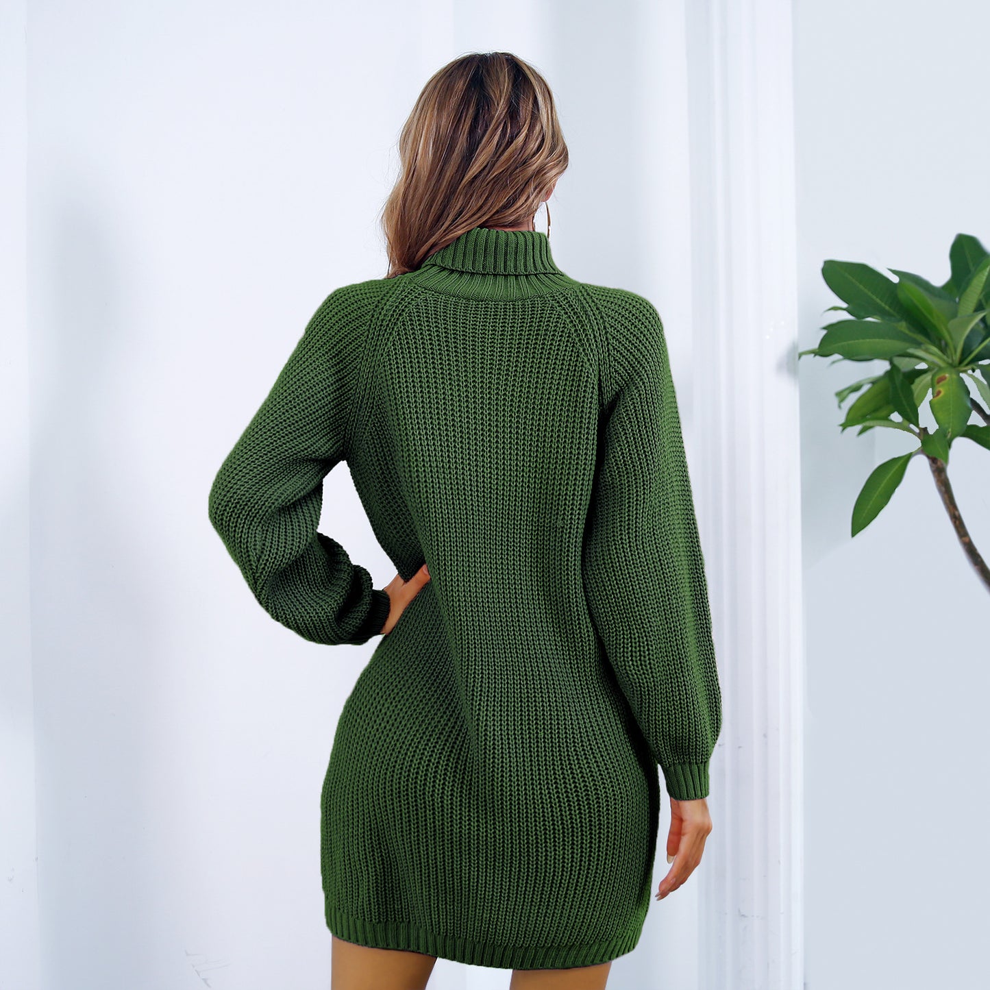 Winter Turtleneck Sweater Dress