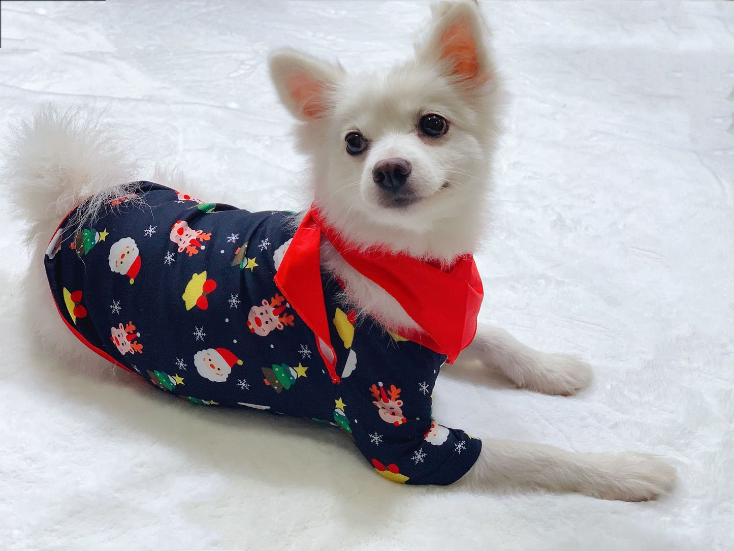 Ensemble de pyjama assorti pour la famille imprimé de Noël à la mode