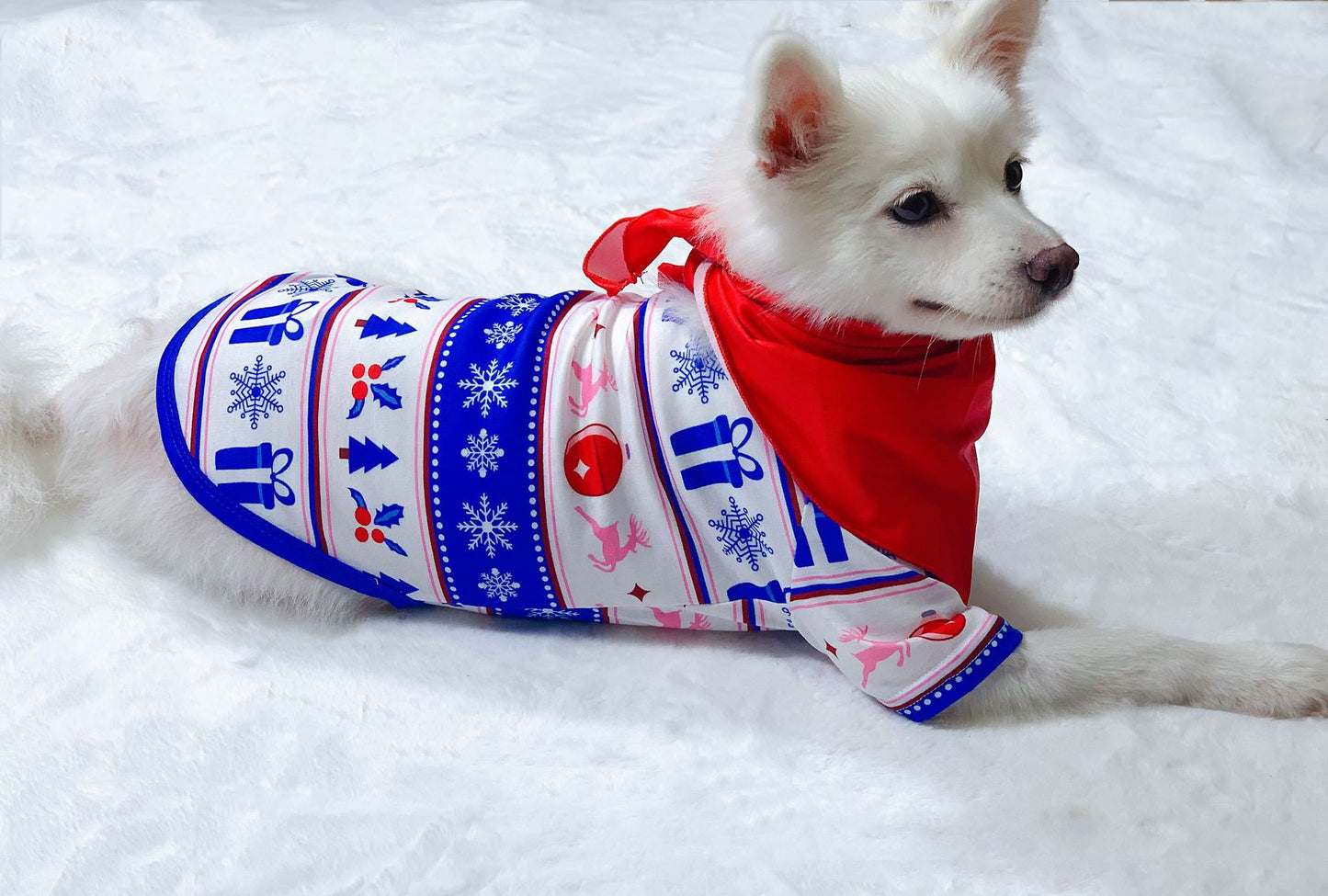 Ensemble de pyjama assorti pour la famille imprimé chapeau de Noël