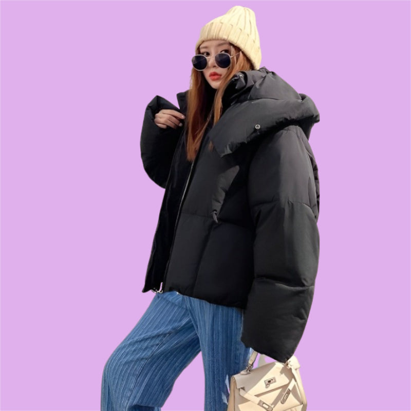 Puffy Cotton Padded Short Hoodie Jacket