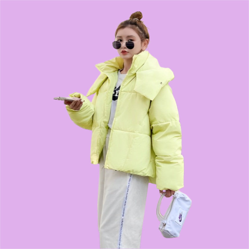 Puffy Cotton Padded Short Hoodie Jacket