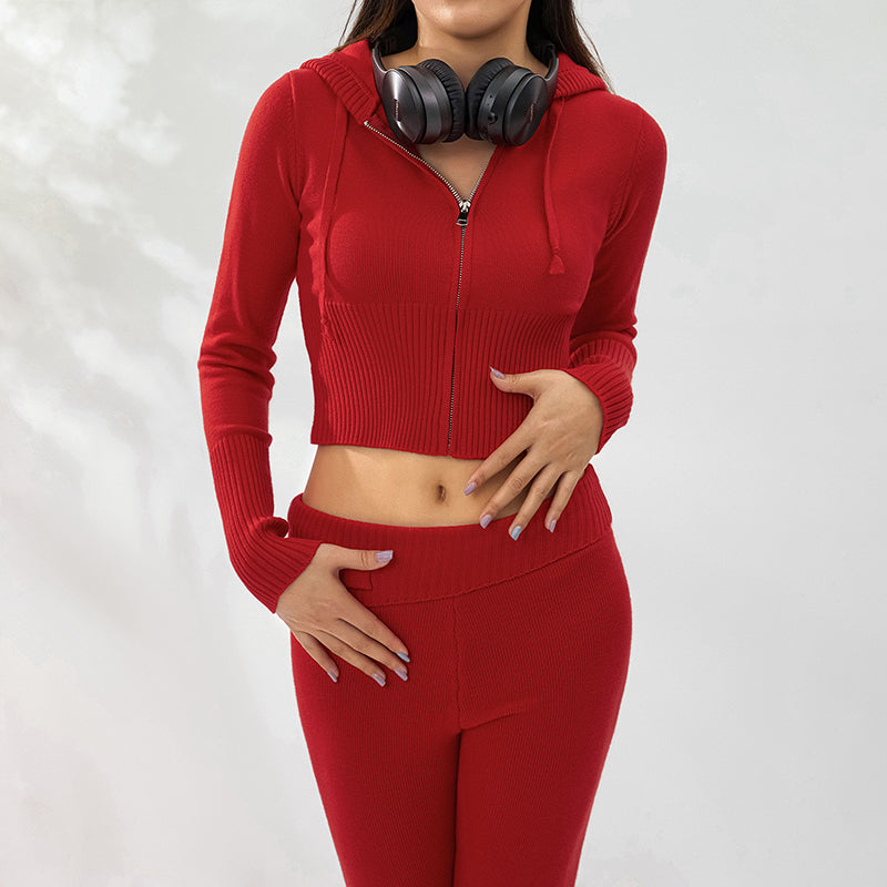 2 Pieces Zipper Hooded Sweater Top And Long Pants Set